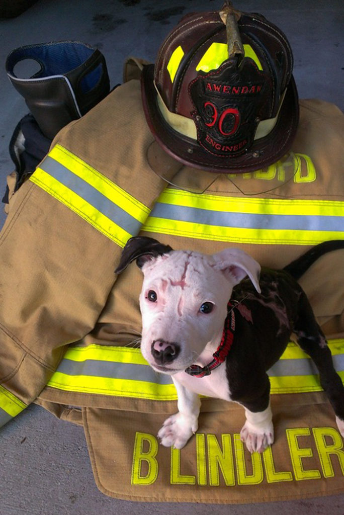 fire safety