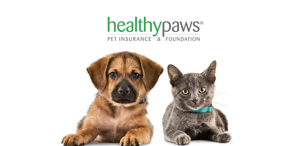 Healthy Paws site