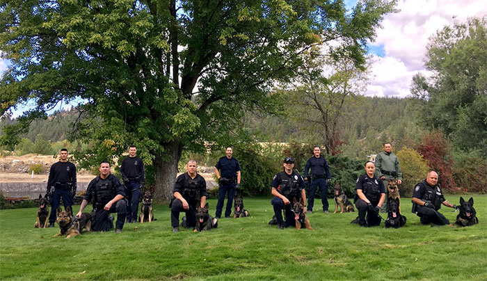 Vancouver police dogs