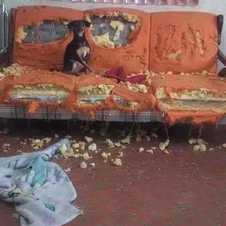 interior decorations