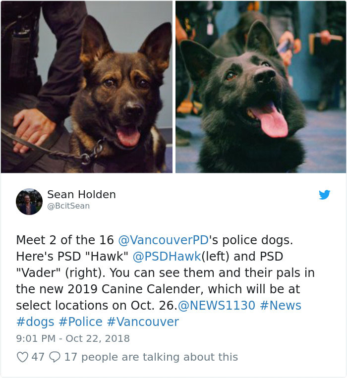 police department dog