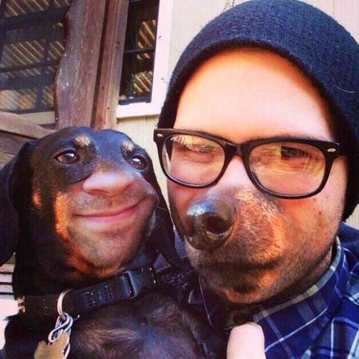 People are swapping faces with pets, it’s weird yet hilarious