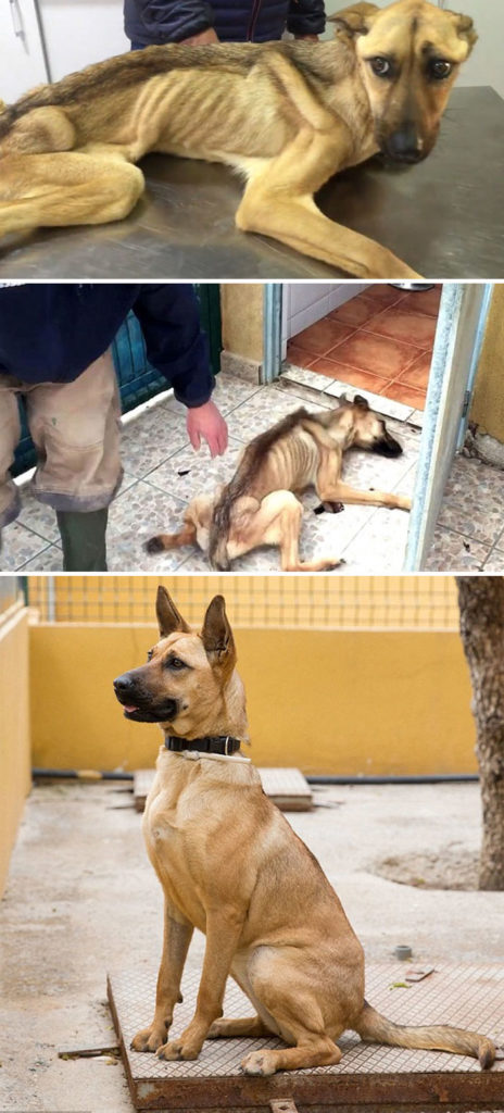 incredible transformation