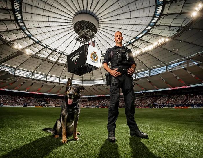 police dogs