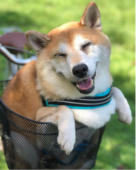 smile