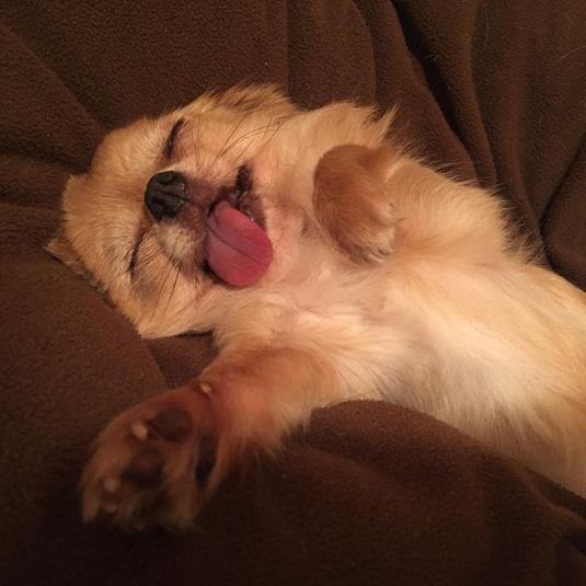 sleeping
