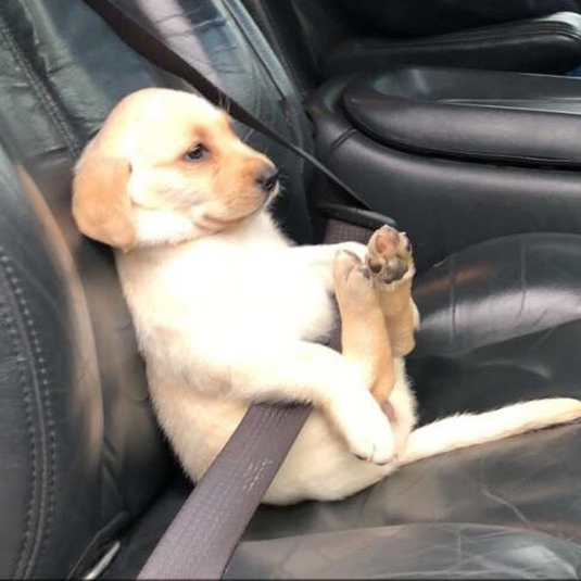 take safety