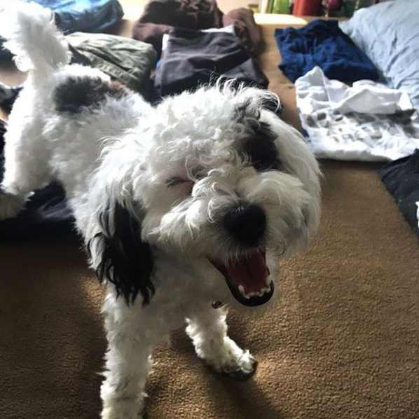 Laughing smile