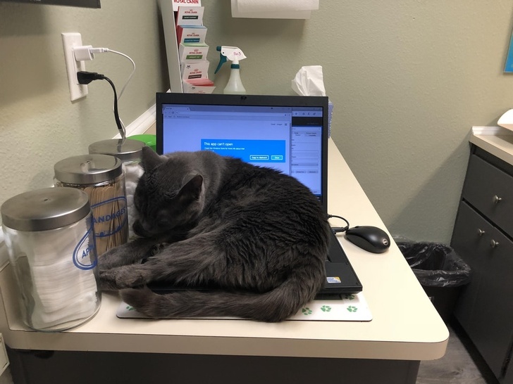 Dr. Grey