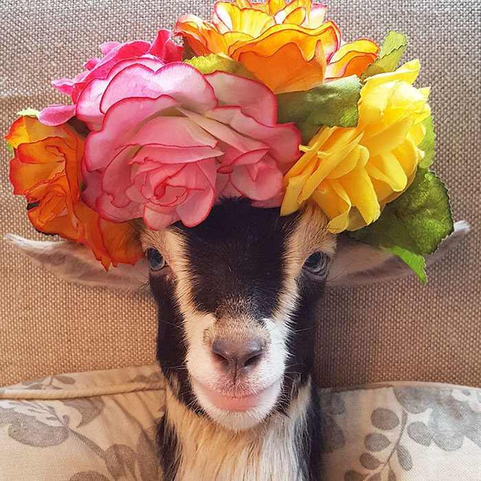 Wearing flowers hat