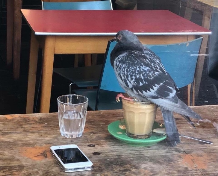 coffee