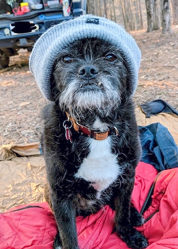 Camping buddy