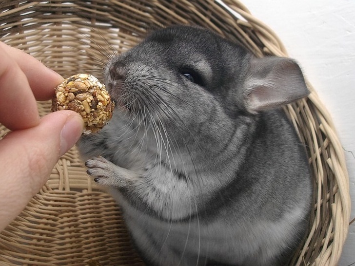 cookie
