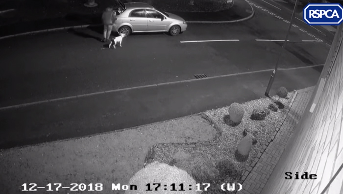 CCTV footage