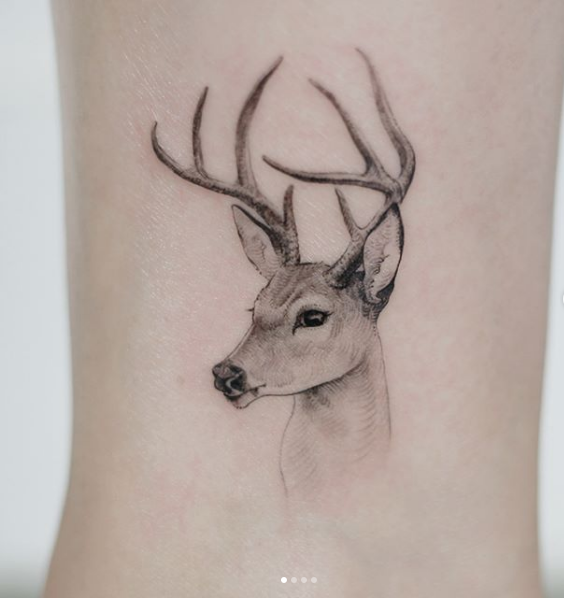 deer