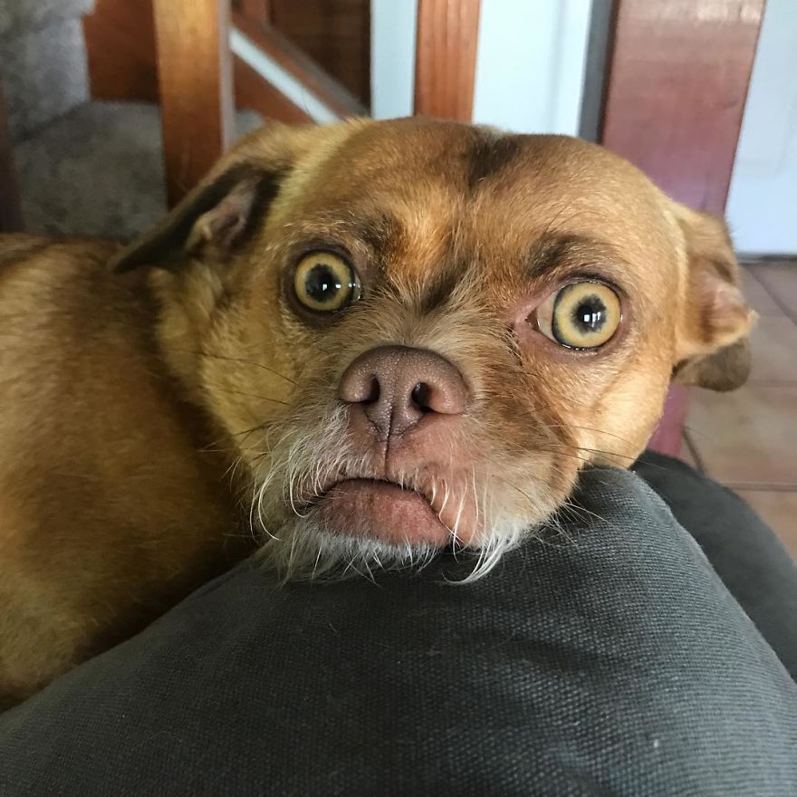 Bacon