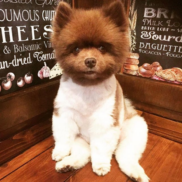 Cute