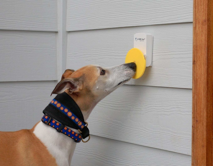 Dog doorbell