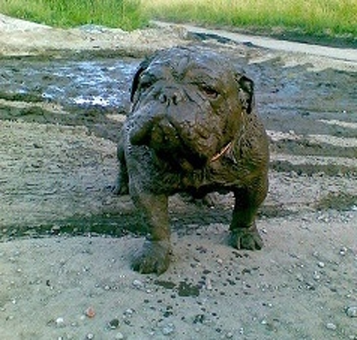 mud bath
