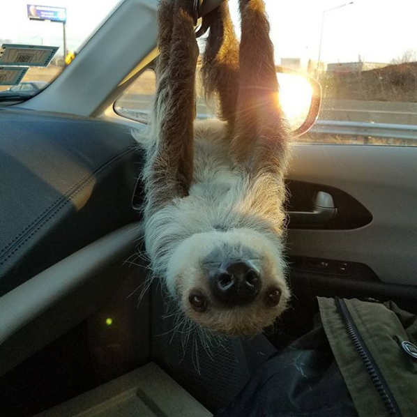 ride