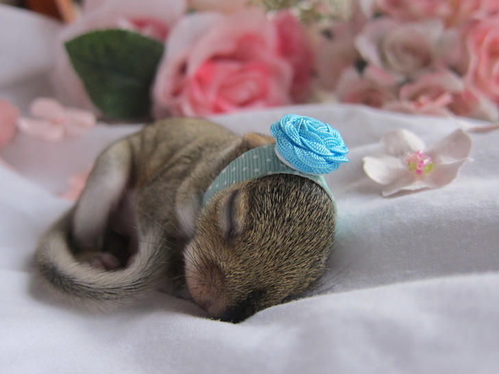 newborn photoshoot