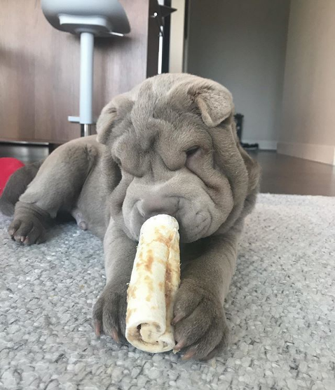 peanut butter