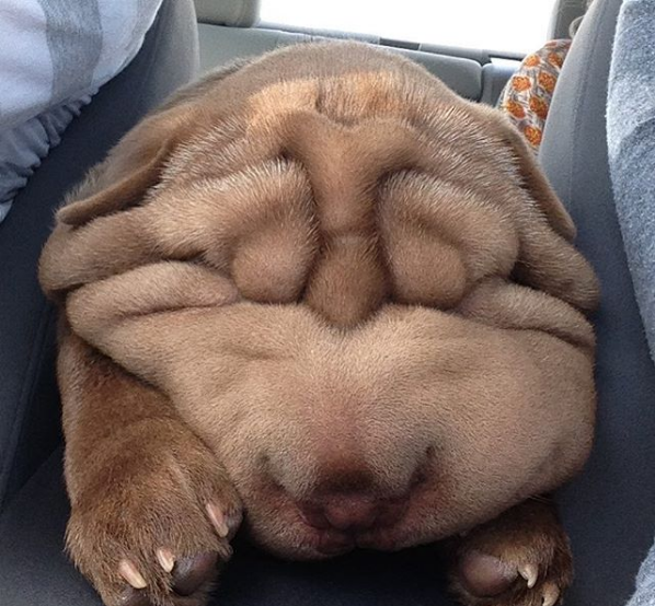 nap