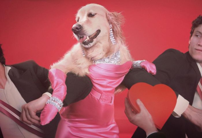 funny Material Girl