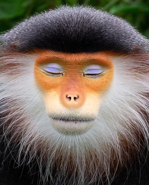 face
