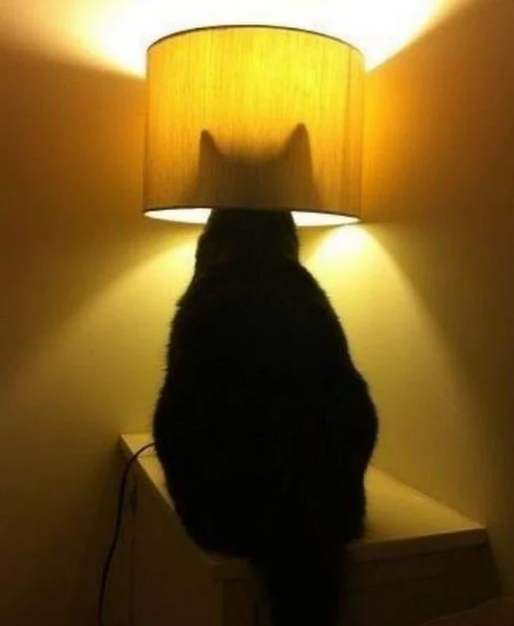 lamp