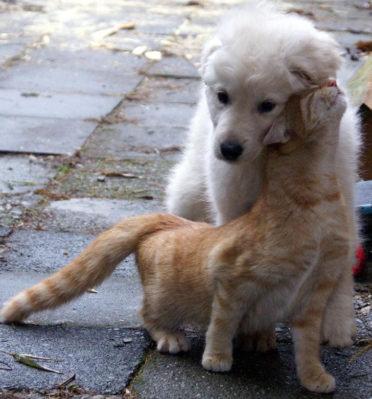 adorable duo