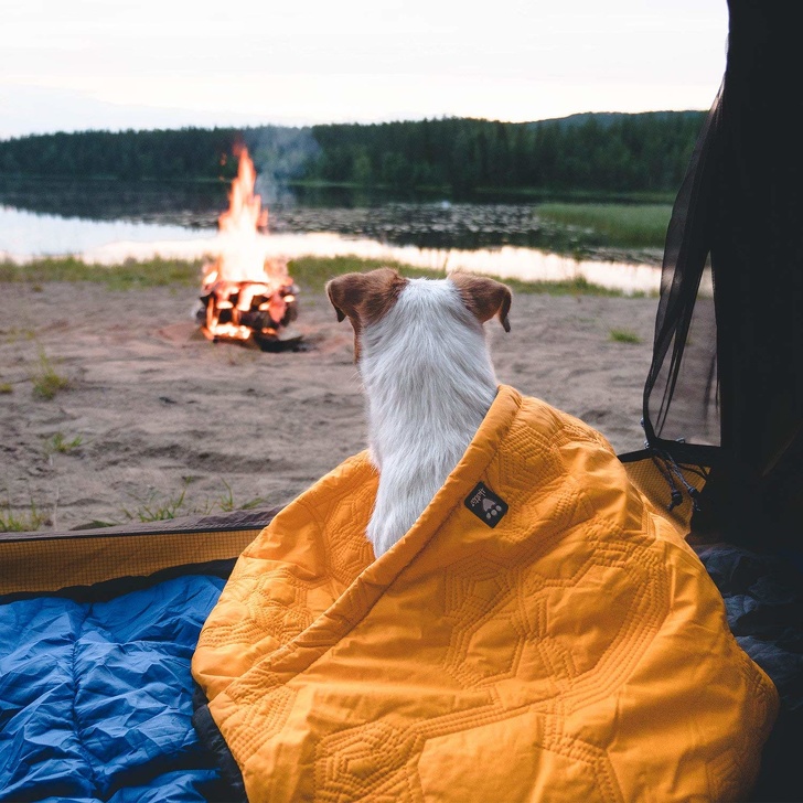 Pet sleeping bag