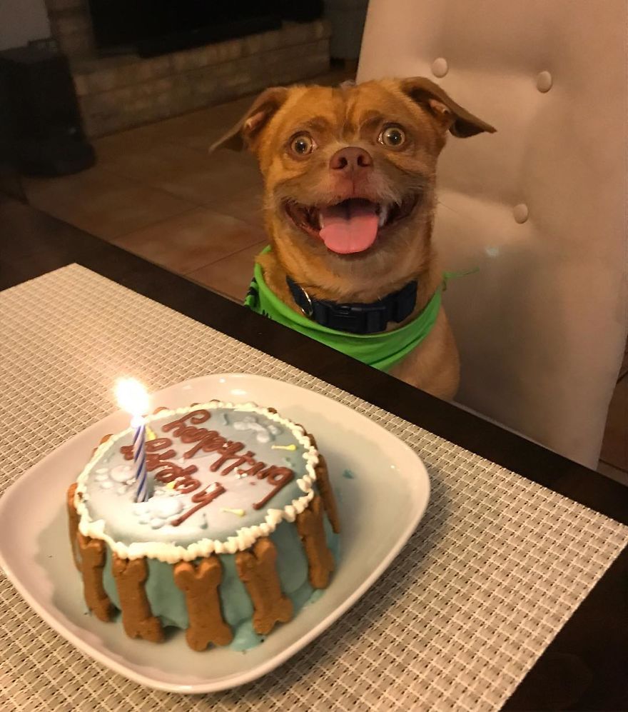 Pupdate