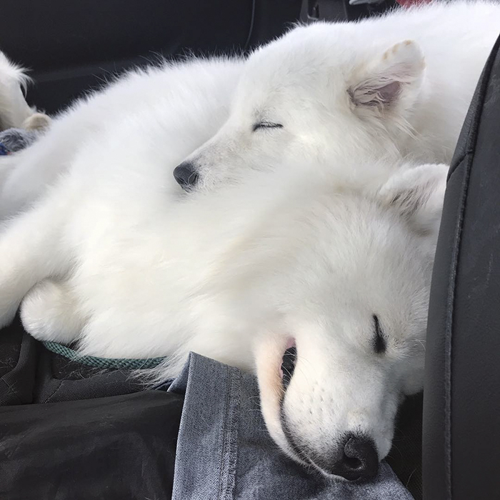 sleeping