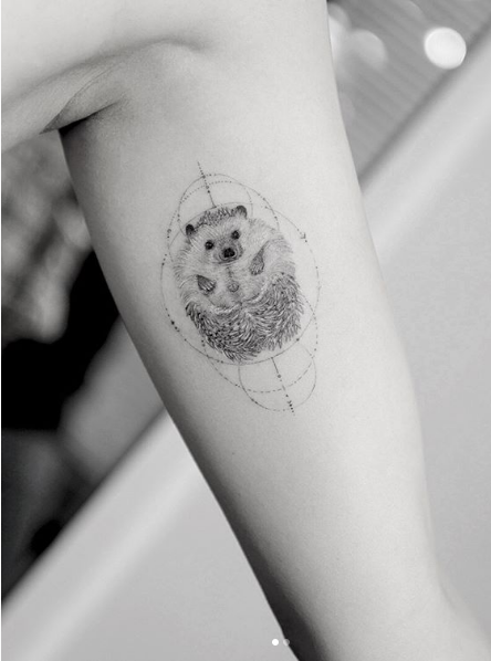 hedgehog