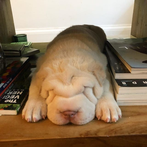Sleep
