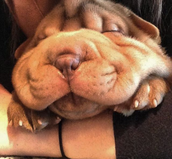 little wrinkle