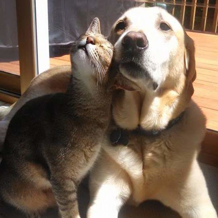 BFFs