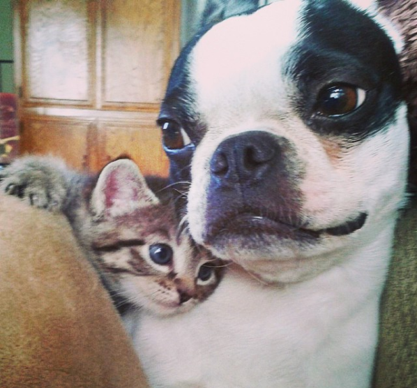 baby loves