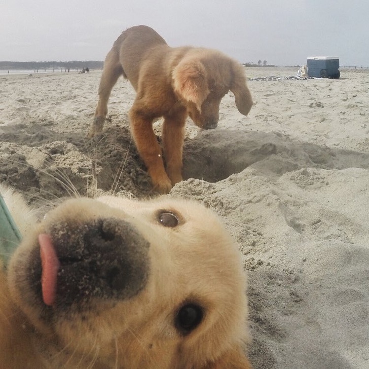 photobombing