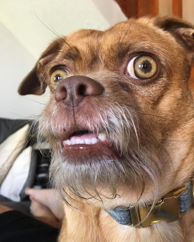 Facing Camera