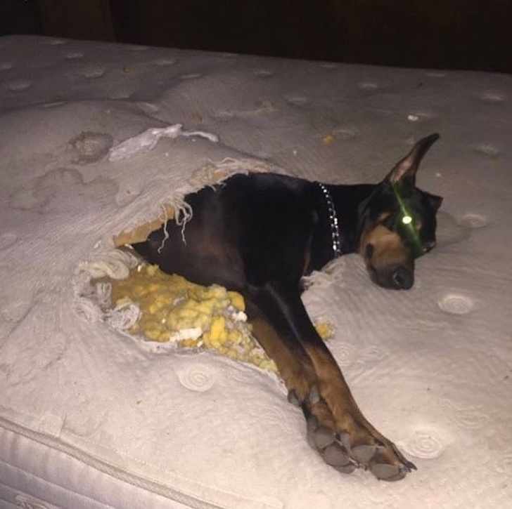 mattress