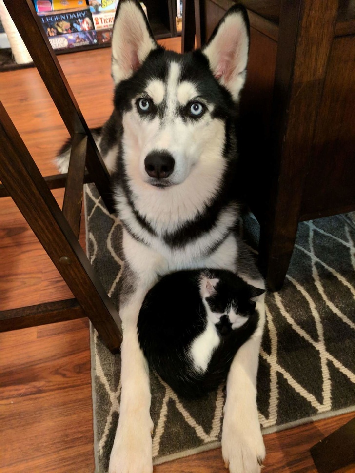 black and white