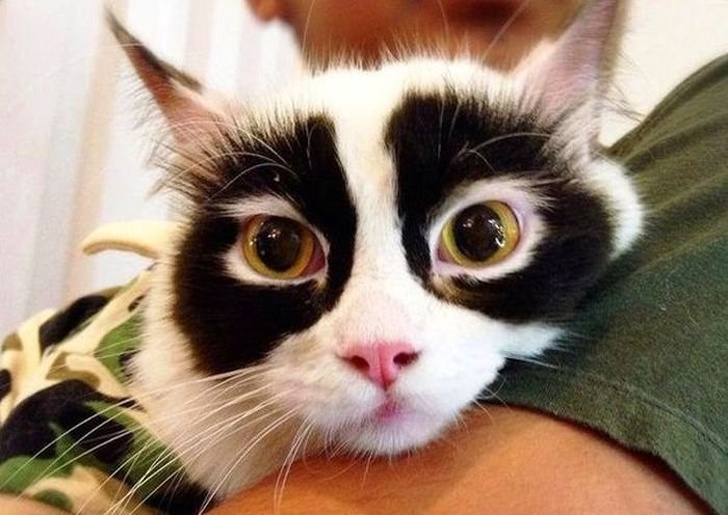 masked hero