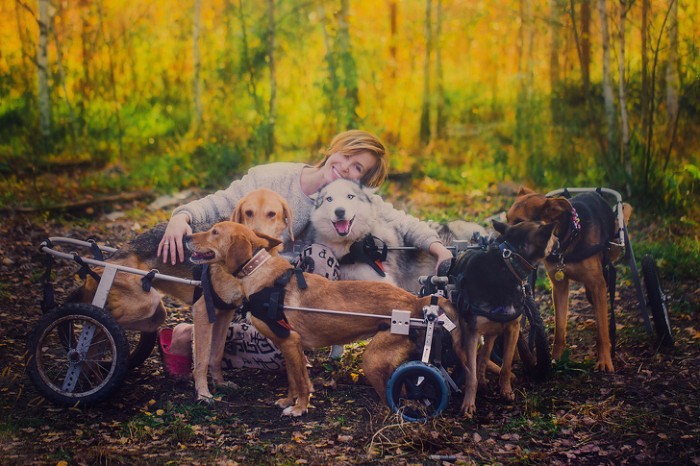 Daria Pushkareva; A Famous Photographer From Moscow Quits Her Job To Live in a Forest With 100 Injured Dogs