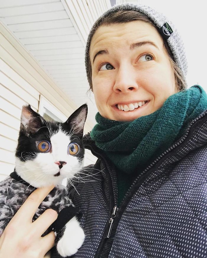 Porg; an Adopted Kitten With Huge ‘Glass’ Eyes After He Was Found And Rescued, Abandoned On A Porch