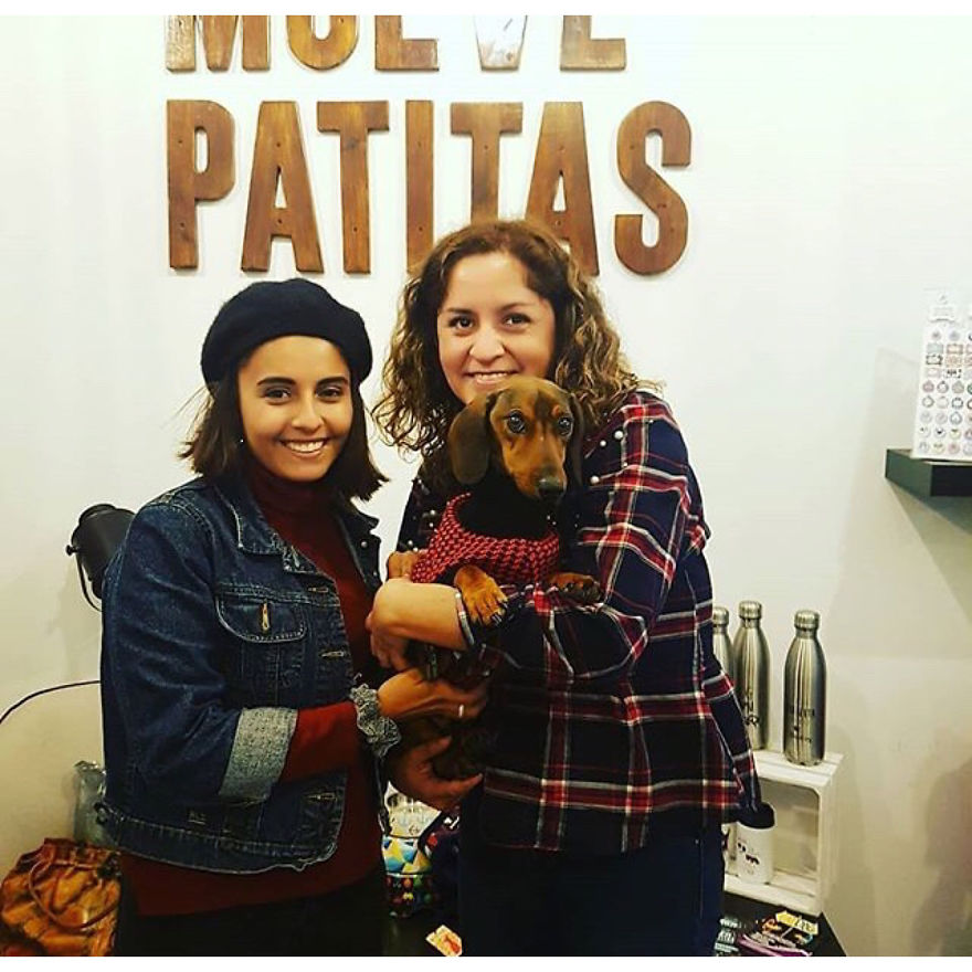 Gaspar; A Dog Survives 6 Days In The Desert After Falling Off The Plane