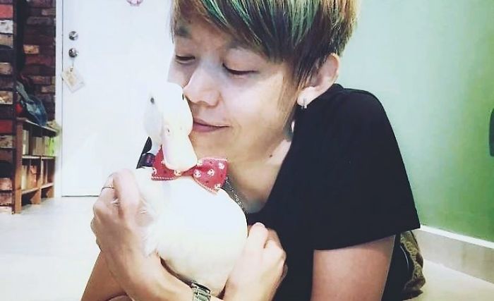 Woman Buys A Balut Egg And Hatches The Duckling That Is Now Her Best Friend