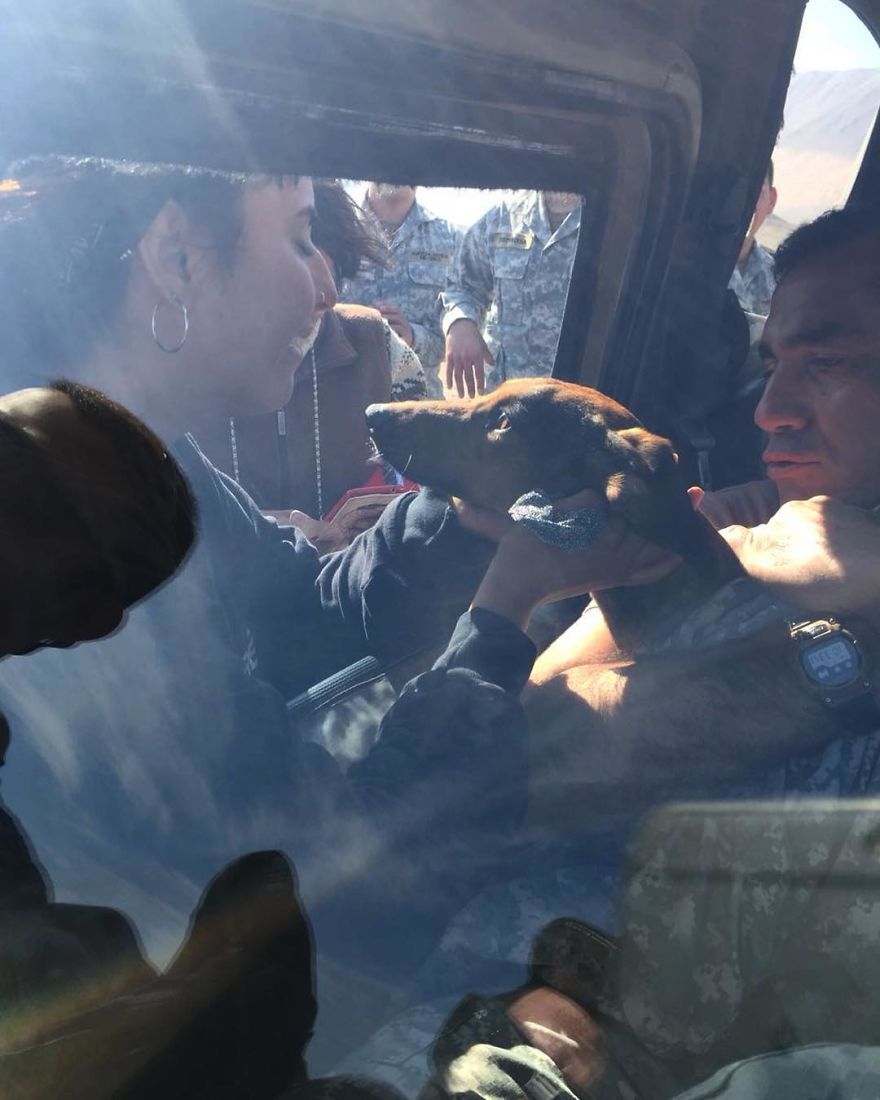 Gaspar; A Dog Survives 6 Days In The Desert After Falling Off The Plane