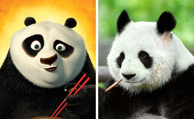 Animals That Are Exact Copies of Our Favorite Animated Movie Characters